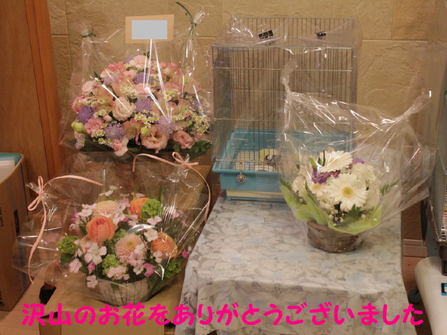 b0158061_23585310.jpg