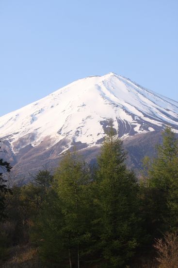 f0107364_8161140.jpg