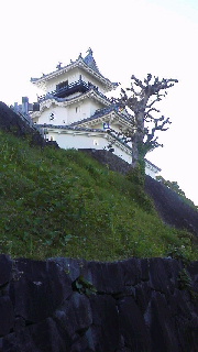 c0018666_819883.jpg