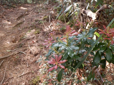 f0057070_20455523.jpg