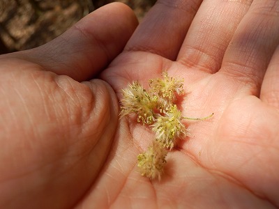 f0057070_20461813.jpg