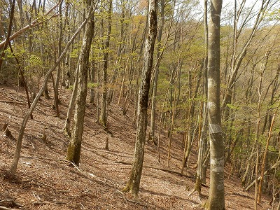 f0057070_20471983.jpg