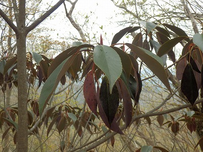 f0057070_2047791.jpg