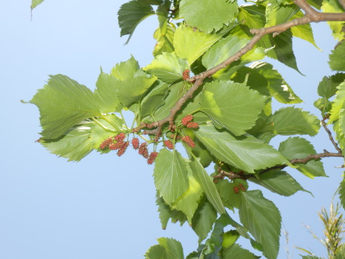 e0292172_2115122.jpg