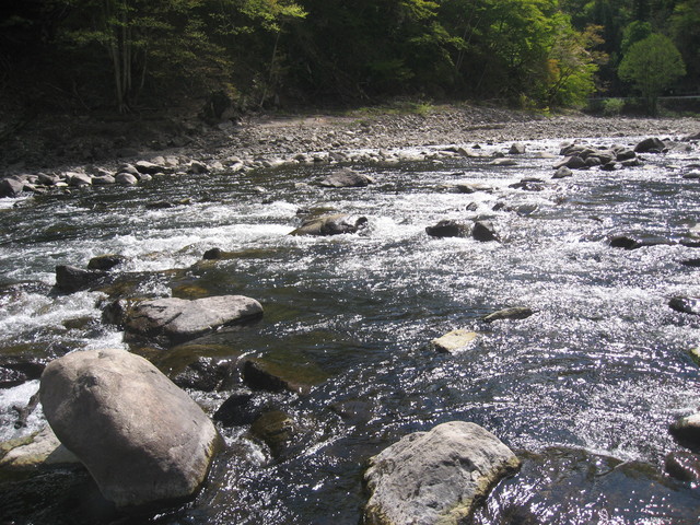 a0093677_22331041.jpg
