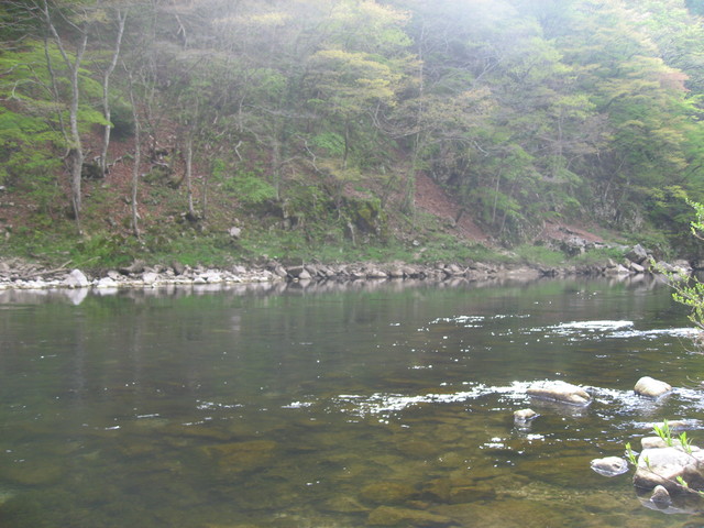 a0093677_22333028.jpg