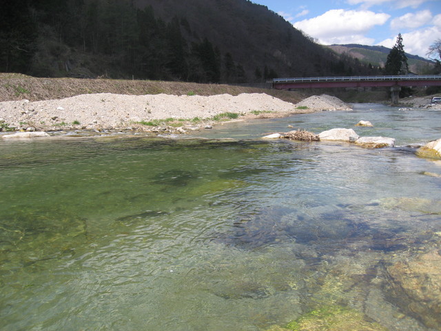a0093677_2235692.jpg