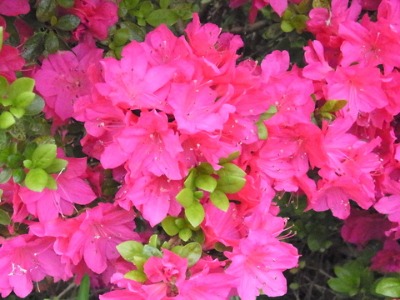 c0209377_21102444.jpg