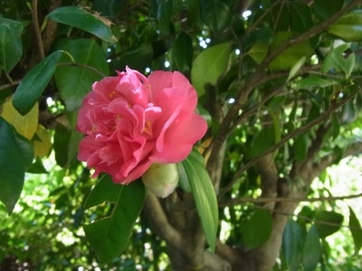 c0209377_21164538.jpg