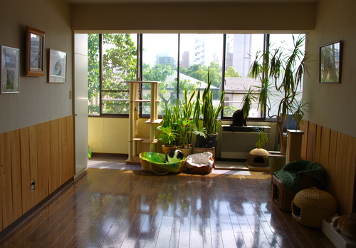 f0054677_6293599.jpg