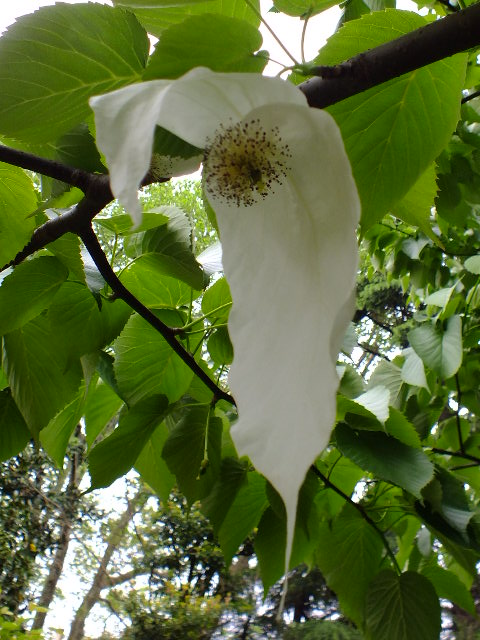 e0145782_2112156.jpg