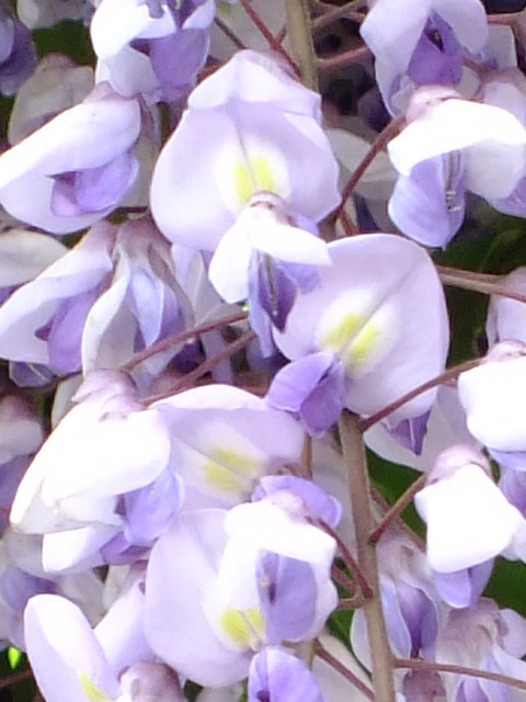 e0145782_2145291.jpg