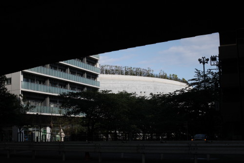 b0143686_1443690.jpg