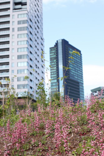 b0143686_1444731.jpg