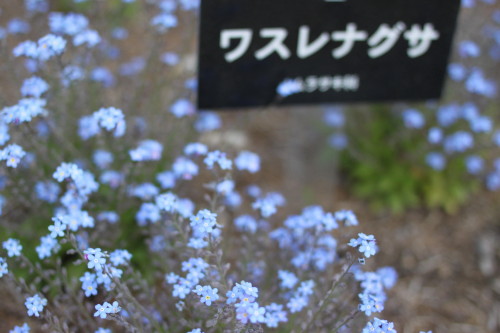 b0143686_1444941.jpg