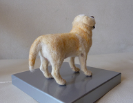 d0282395_1871891.png
