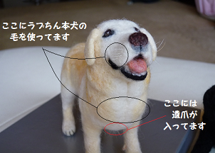 d0282395_187365.png