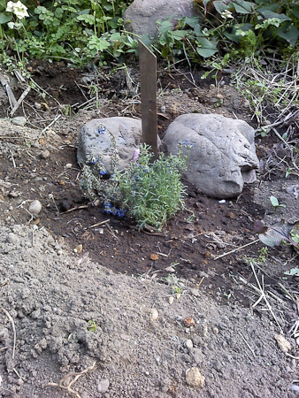f0239100_114972.jpg