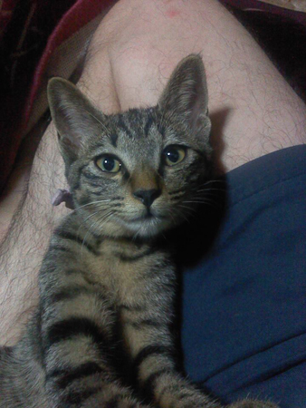 f0239100_1162671.jpg