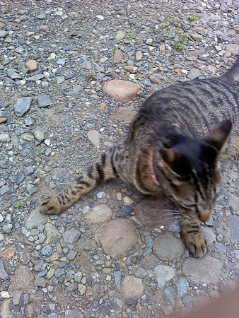 f0239100_1165693.jpg