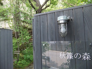 c0151903_1635230.jpg