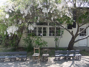 c0151903_8533175.jpg