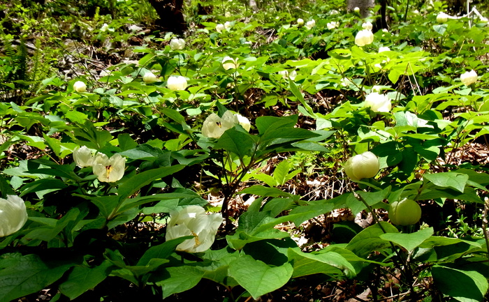 c0197004_1638132.jpg
