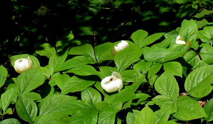 c0197004_16385429.jpg