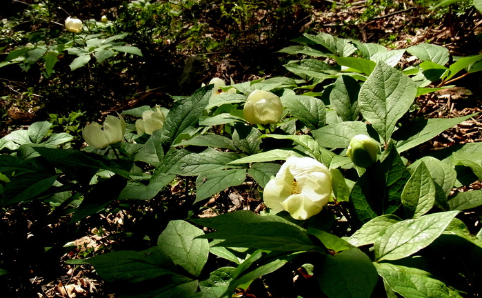 c0197004_1639798.jpg