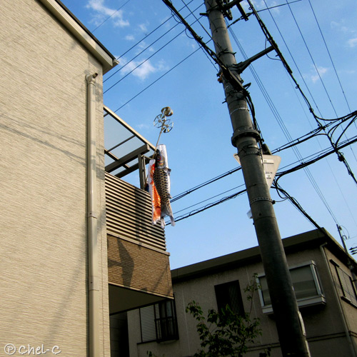 a0154706_1342496.jpg