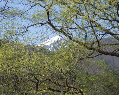 f0161708_2363779.jpg