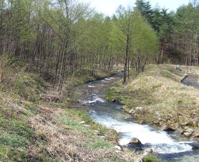 f0161708_23724100.jpg