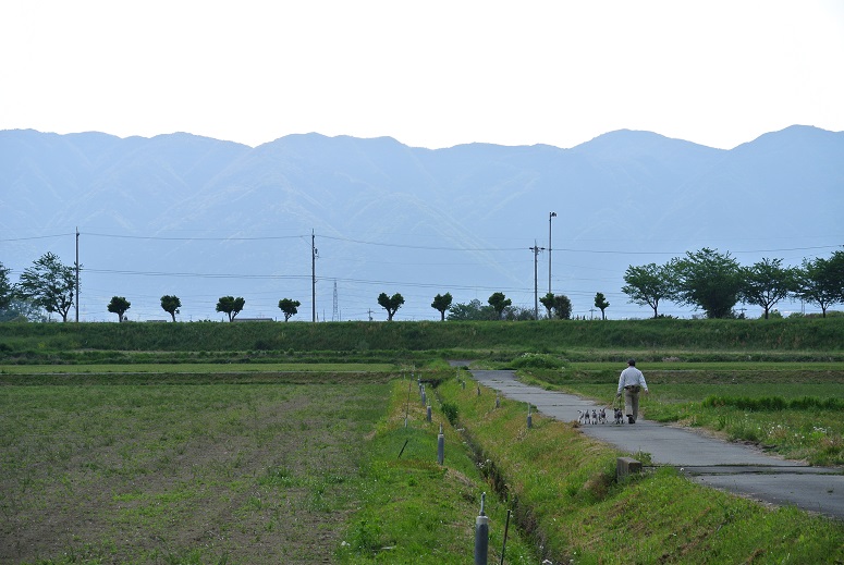 f0179209_13312464.jpg