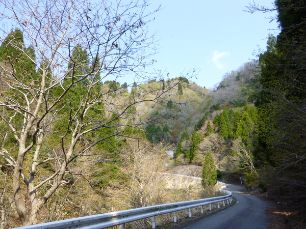 d0170615_89923.jpg