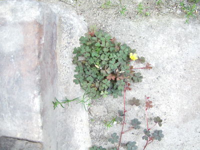 e0271717_926437.jpg