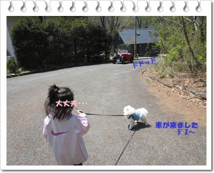 b0167519_1694384.gif