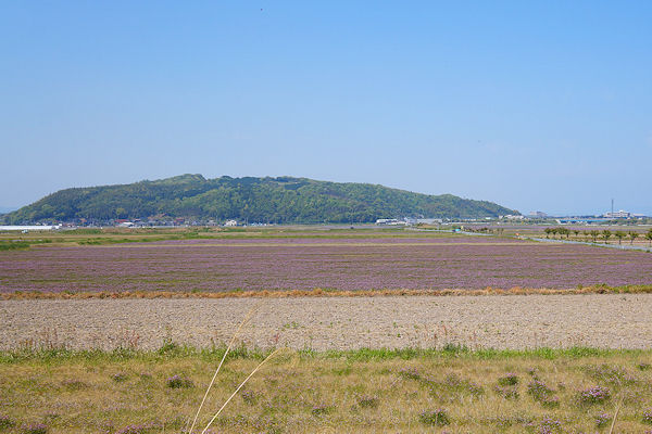 f0007926_16154249.jpg