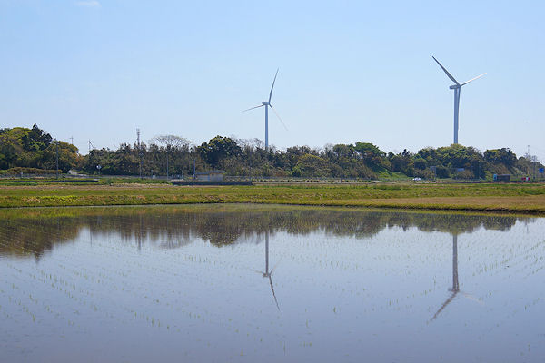f0007926_16263349.jpg