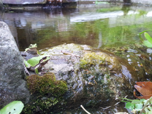 c0034029_1414046.jpg