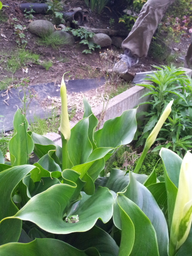 c0034029_1414349.jpg