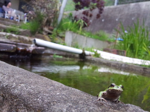 c0034029_1423118.jpg