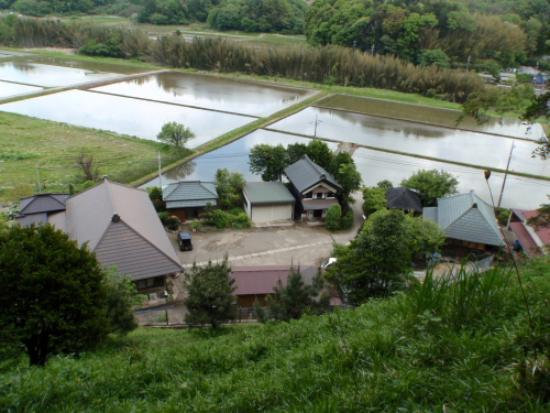 c0034029_1423340.jpg
