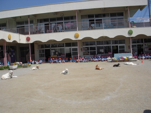 c0114833_23471553.jpg