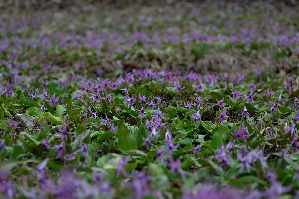 f0274536_0125332.jpg