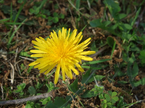 b0165139_2035512.jpg