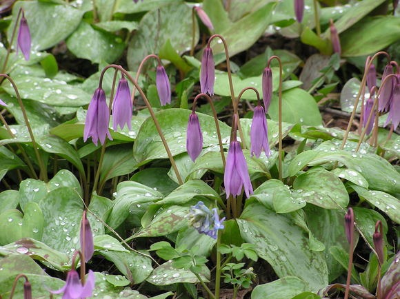 c0254440_2157520.jpg
