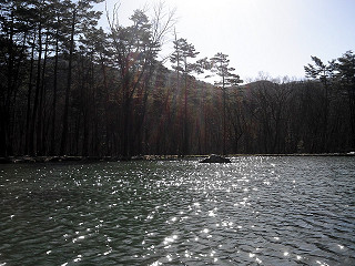 f0065341_11375850.jpg