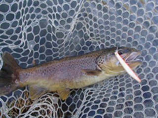 f0065341_11392127.jpg