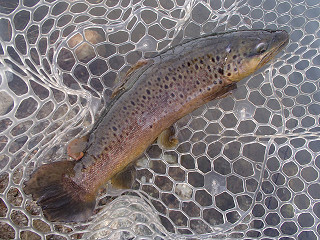 f0065341_11421890.jpg