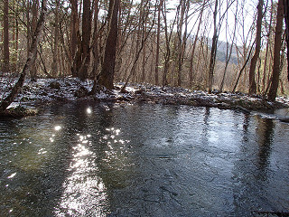 f0065341_11423657.jpg